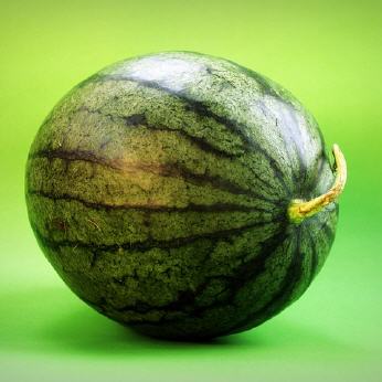 Melone Waffel Zucker gün